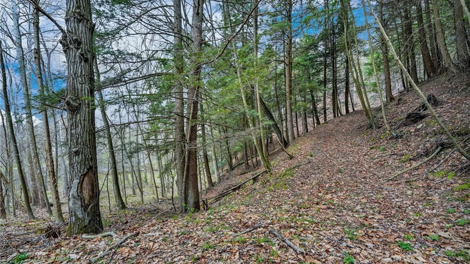 Property at 1573 State Route 19, Willing, NY 14895 22