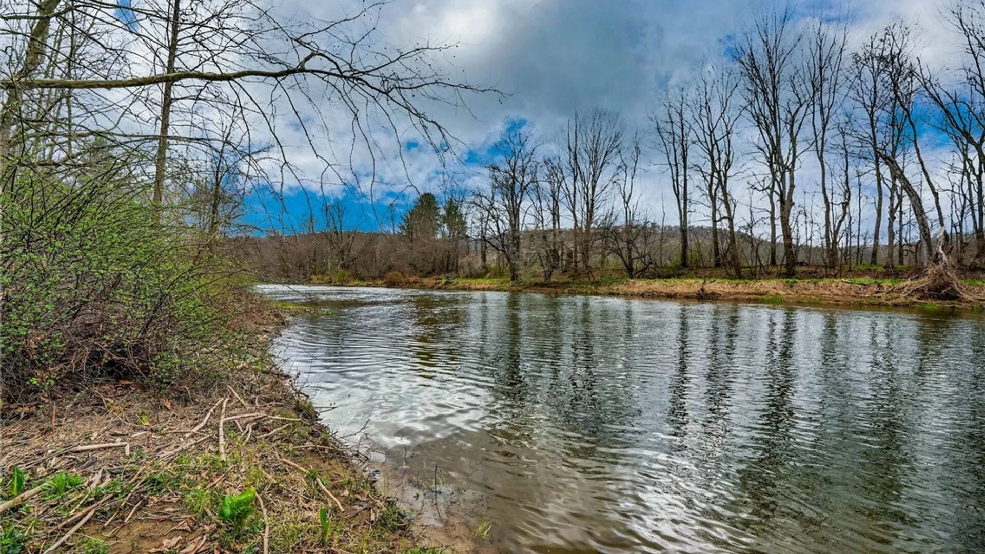 Property at 1573 State Route 19, Willing, NY 14895 23