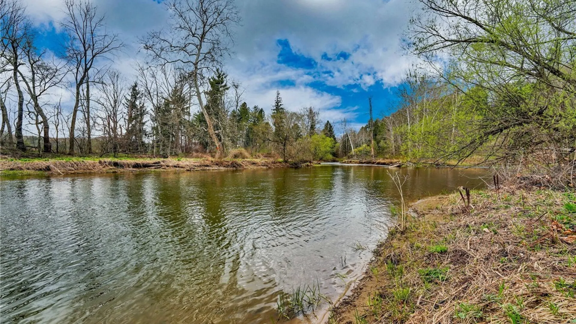 Property at 1573 State Route 19, Willing, NY 14895 24