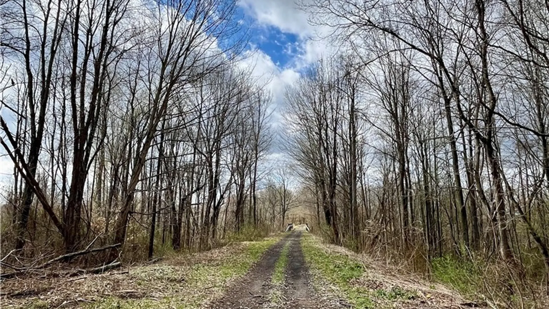 Property at 1462 Onionville Road, Sterling, NY 13156 34