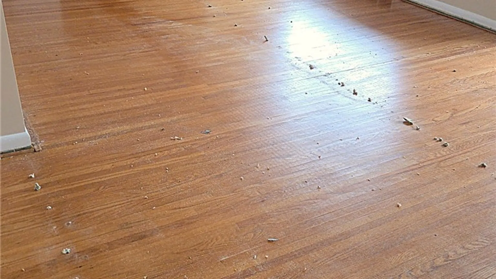 Property at 99 Howedale Drive, Greece, NY 14616 13