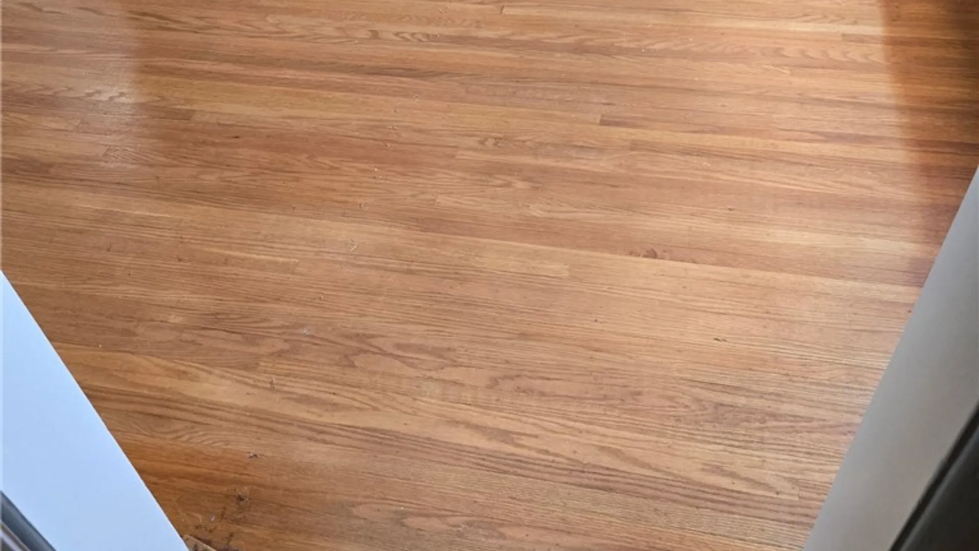 Property at 99 Howedale Drive, Greece, NY 14616 15