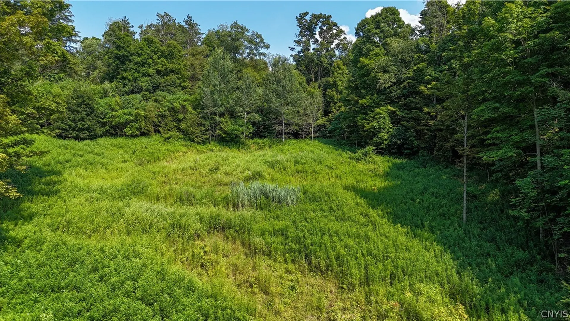 Property at Clinton Avenue, Groton, NY 13073 12