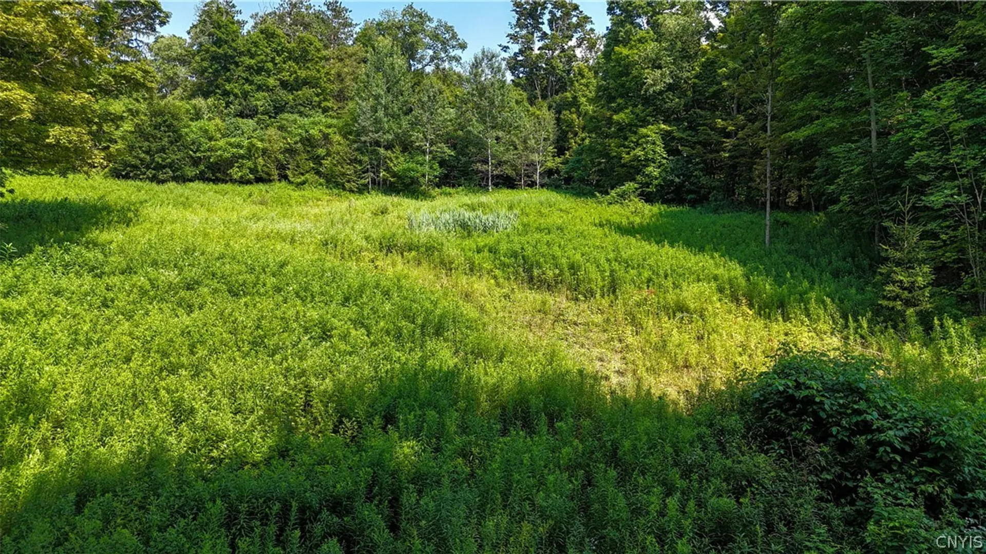 Property at Clinton Avenue, Groton, NY 13073 13