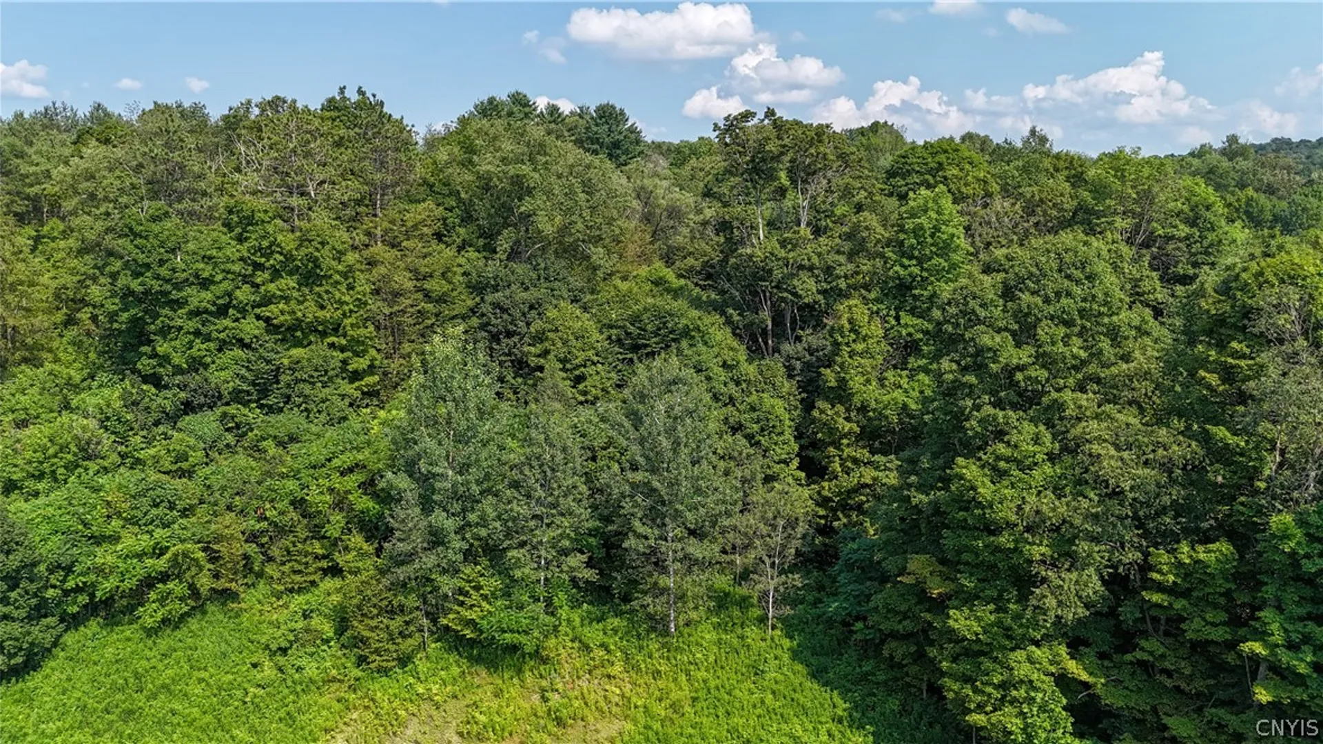 Property at Clinton Avenue, Groton, NY 13073 14