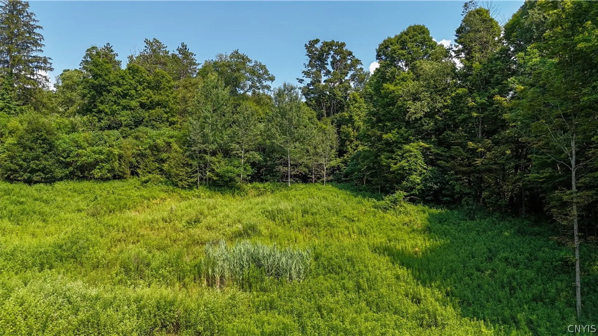 Property at Clinton Avenue, Groton, NY 13073 15