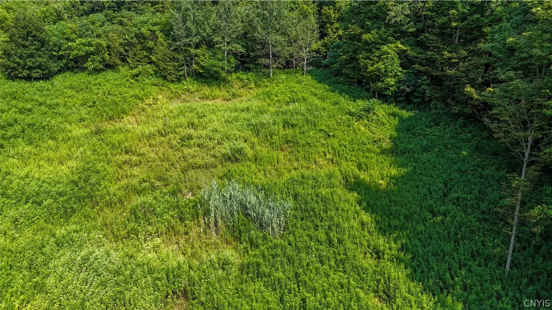 Property at Clinton Avenue, Groton, NY 13073 2