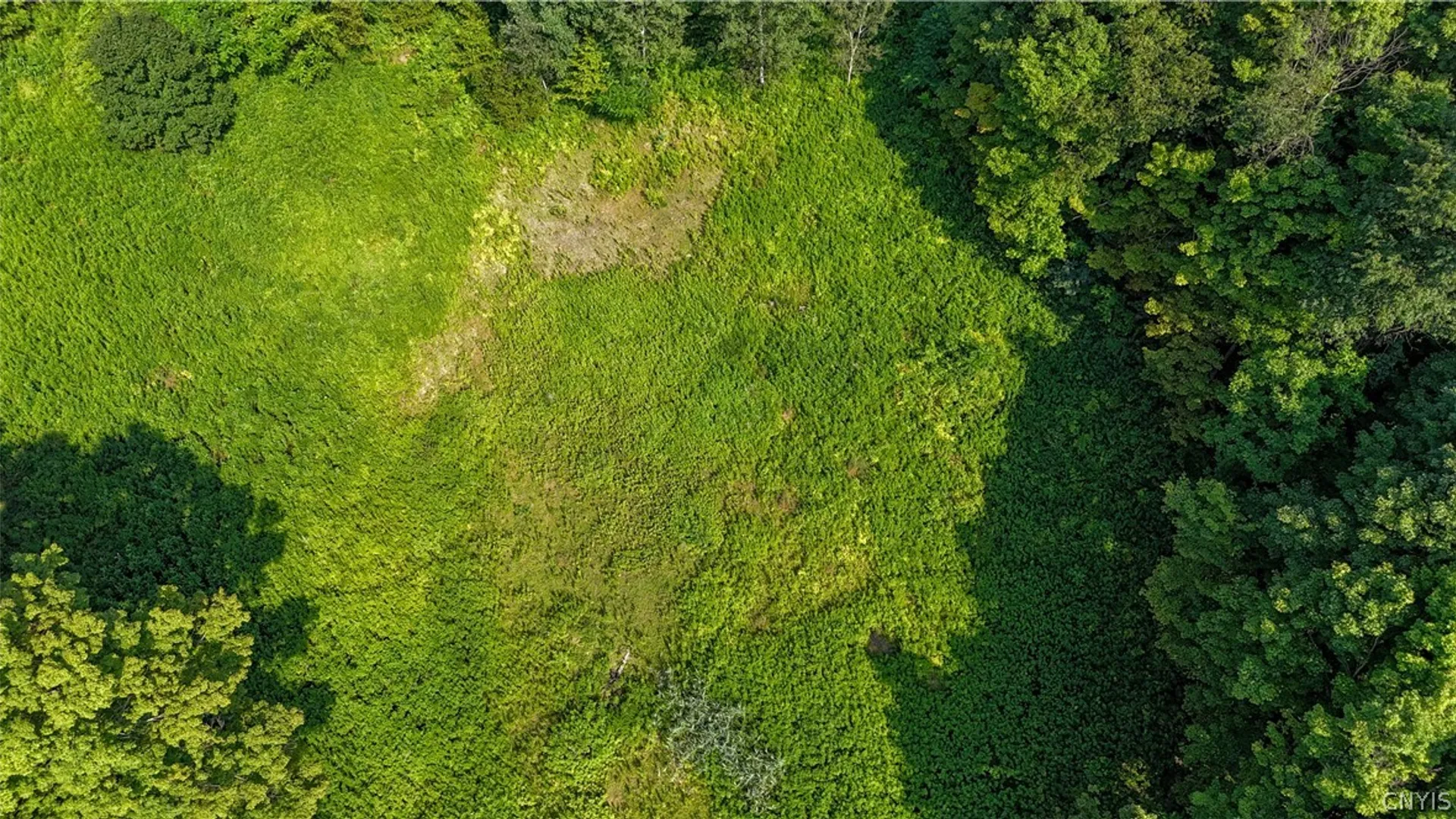 Property at Clinton Avenue, Groton, NY 13073 3