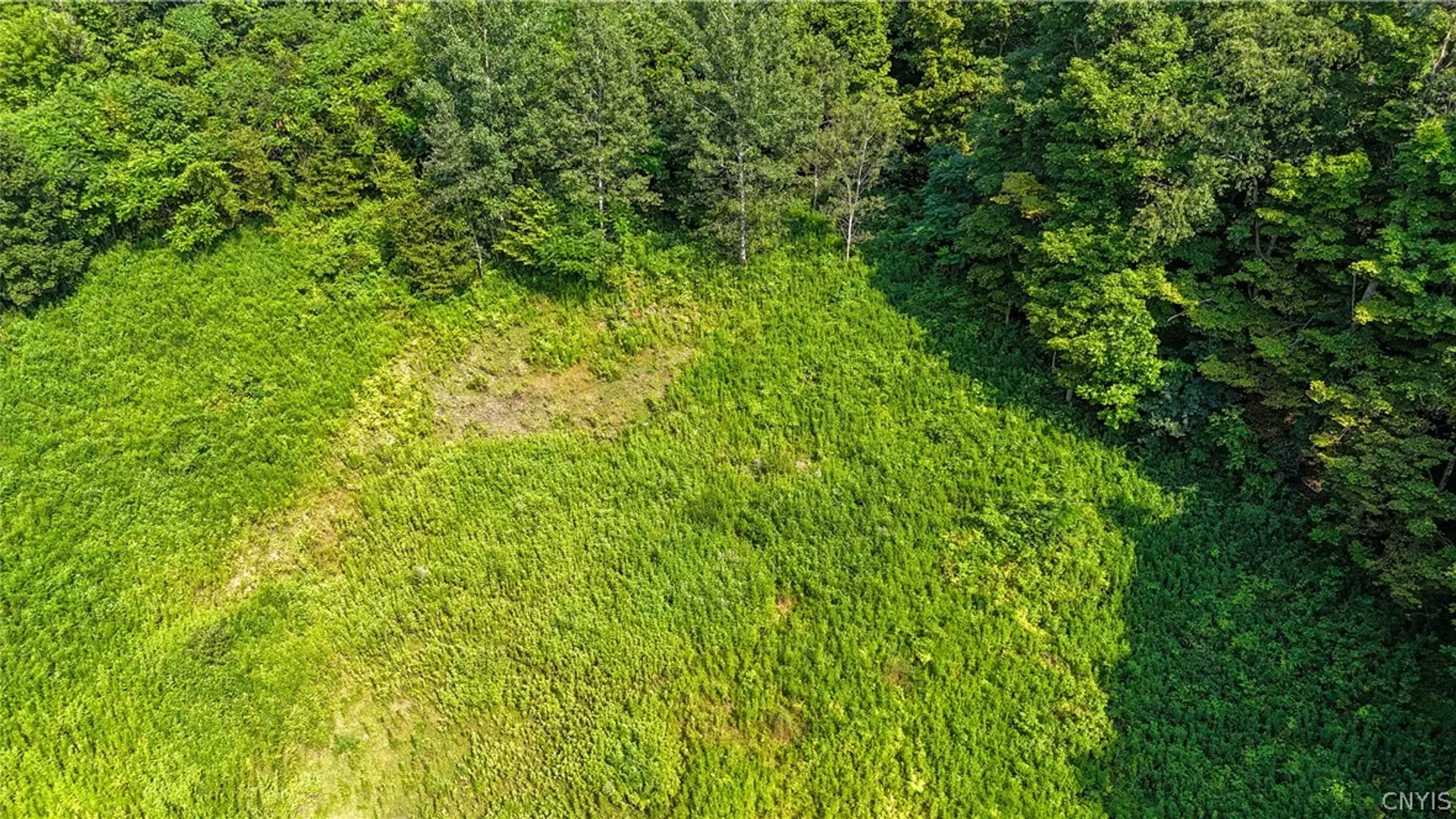 Property at Clinton Avenue, Groton, NY 13073 7