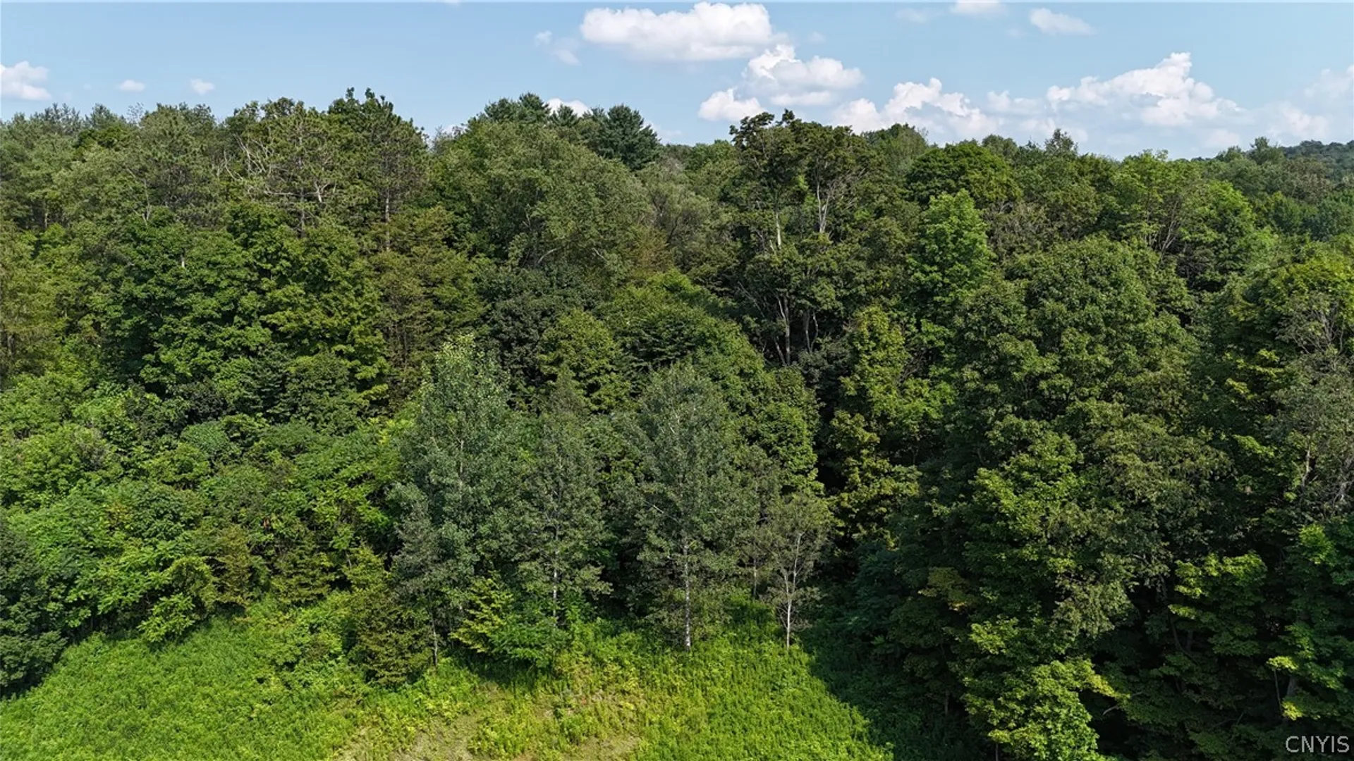 Property at Clinton Avenue, Groton, NY 13073 8