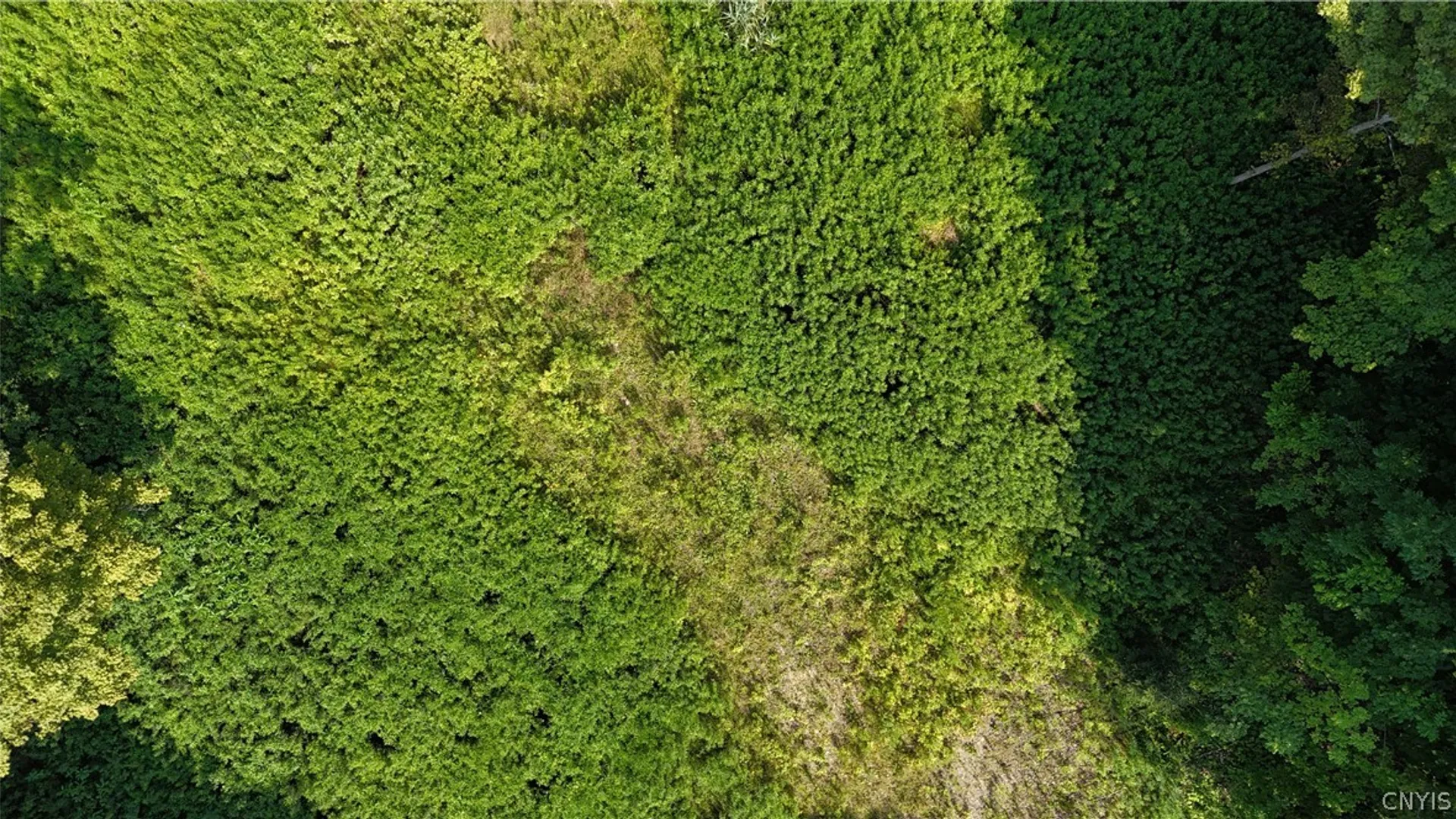 Property at Clinton Avenue, Groton, NY 13073 9