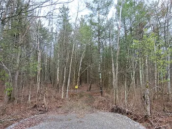 Property at Lead Mine Rd, Rossie, NY 13679