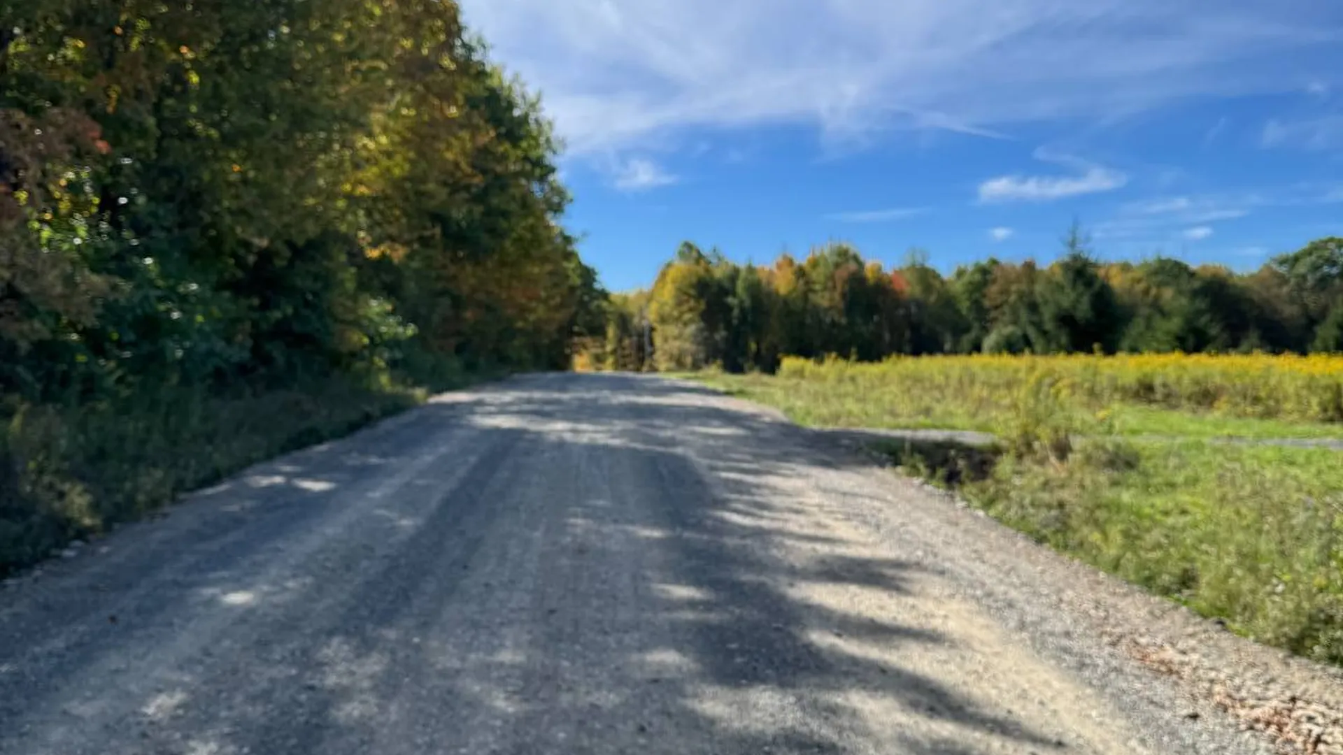 Property at 135 Cook Road, Cooperstown, NY 13326 15