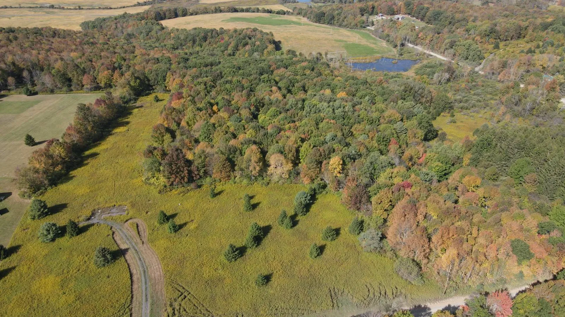 Property at 135 Cook Road, Cooperstown, NY 13326 16