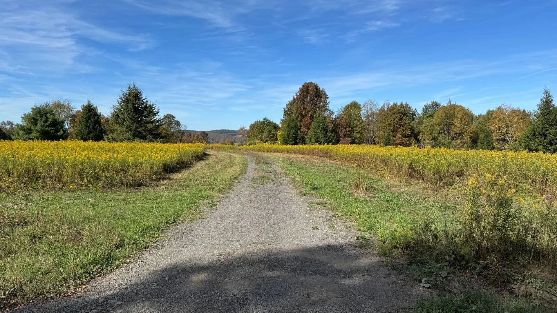 Property at 135 Cook Road, Cooperstown, NY 13326 2