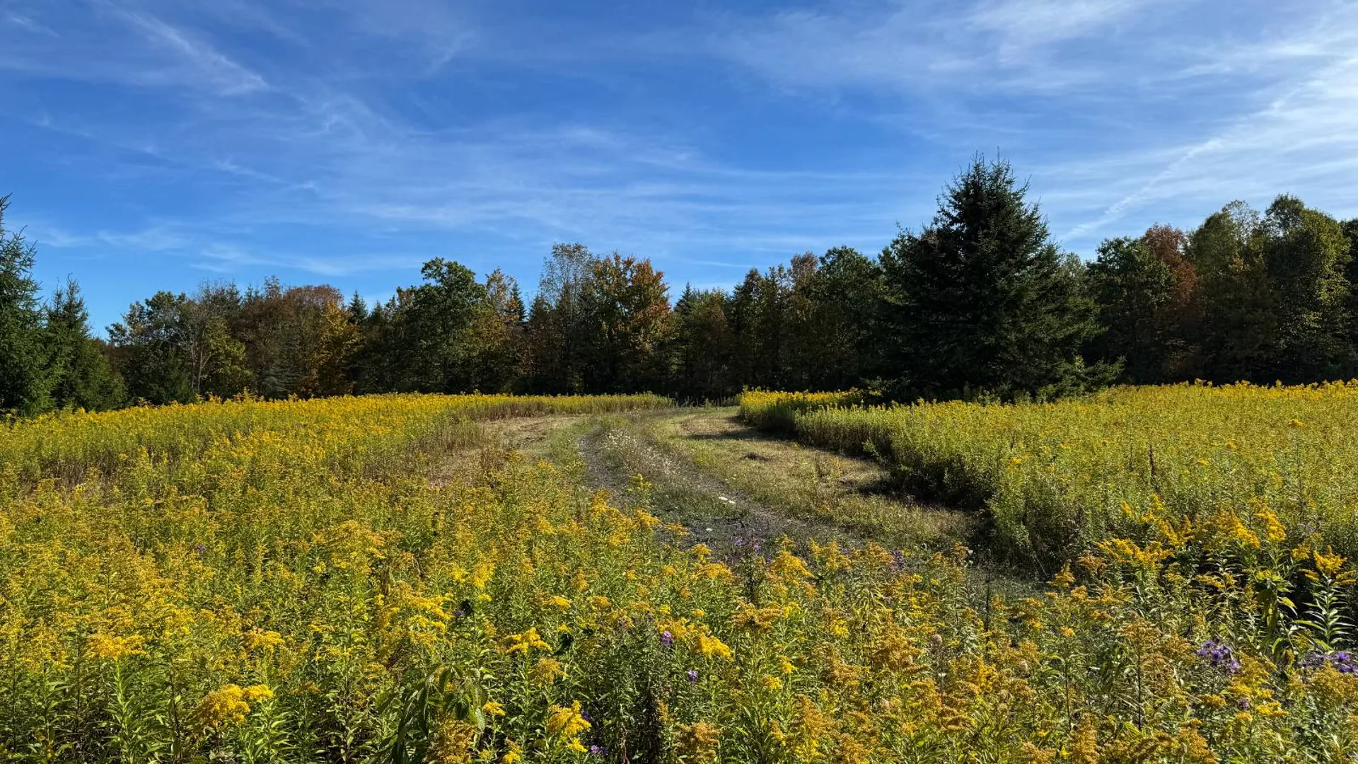 Property at 135 Cook Road, Cooperstown, NY 13326 5