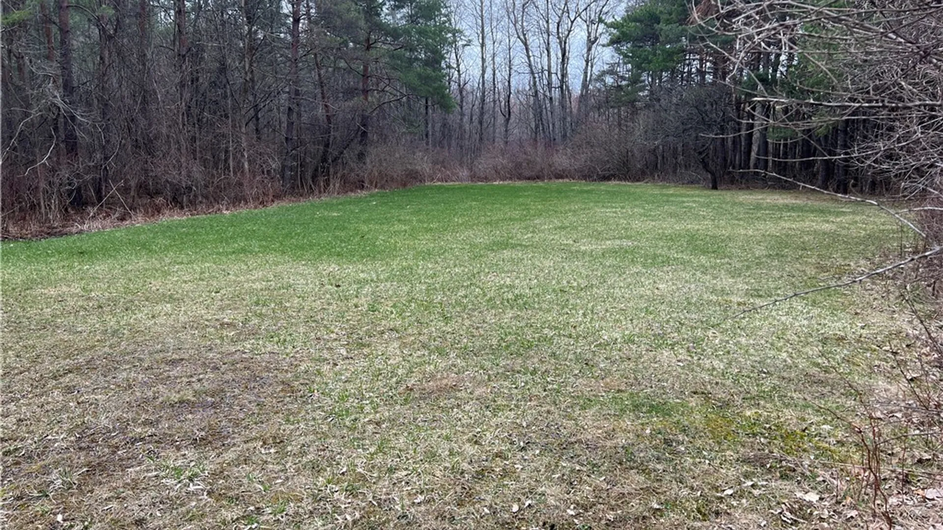 Property at 2985 Tom Campbell Rd, Jerusalem, NY 14418 11