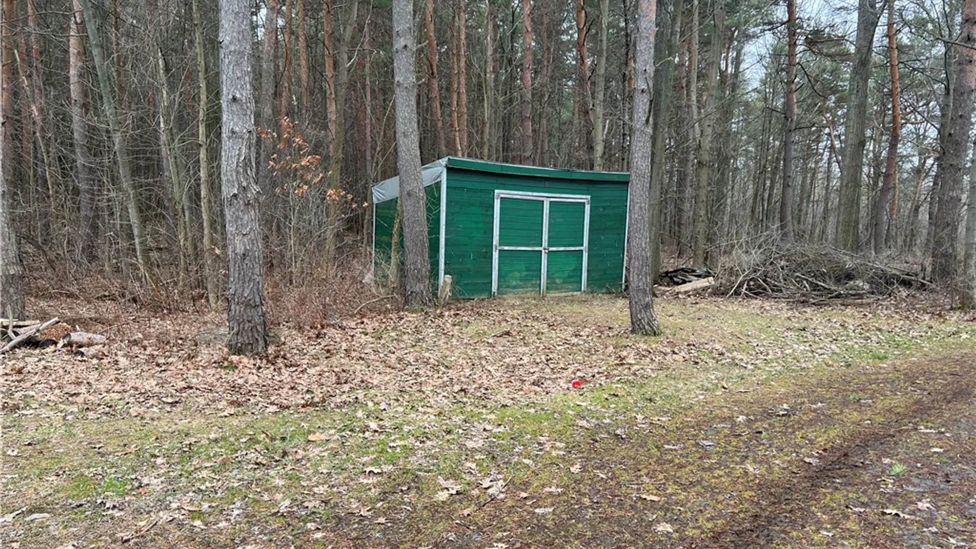 Property at 2985 Tom Campbell Rd, Jerusalem, NY 14418 9