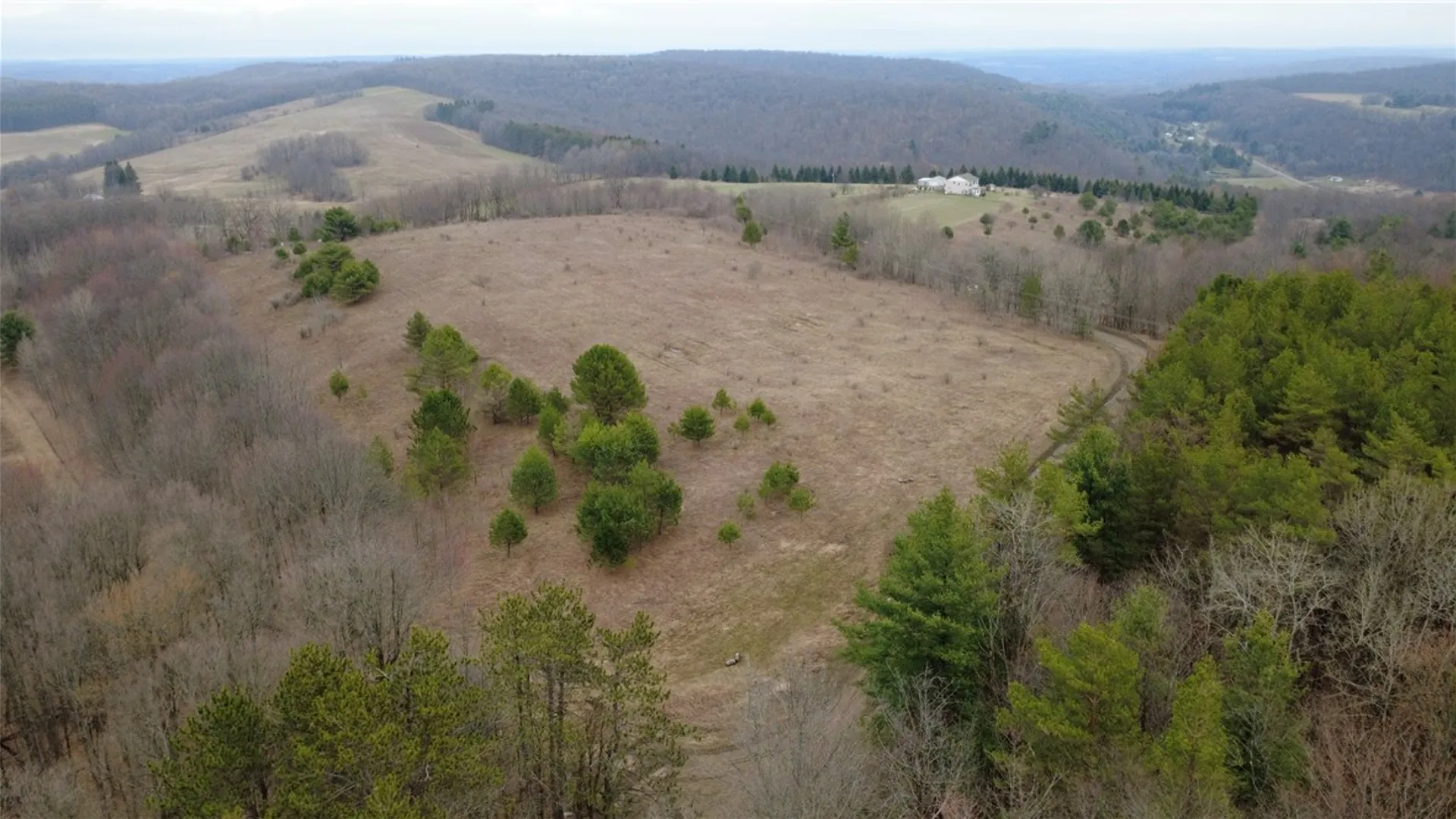 Property at 0 Moulton Road, Clarksville, NY 14727 3