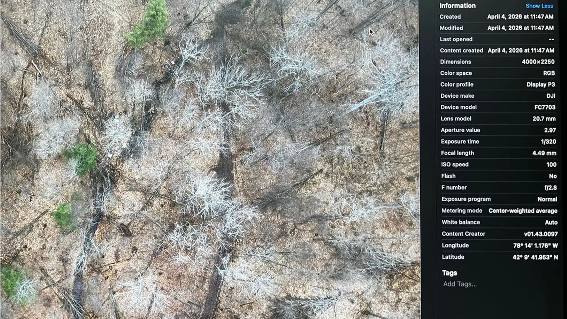 Property at 0 Moulton Road, Clarksville, NY 14727 7