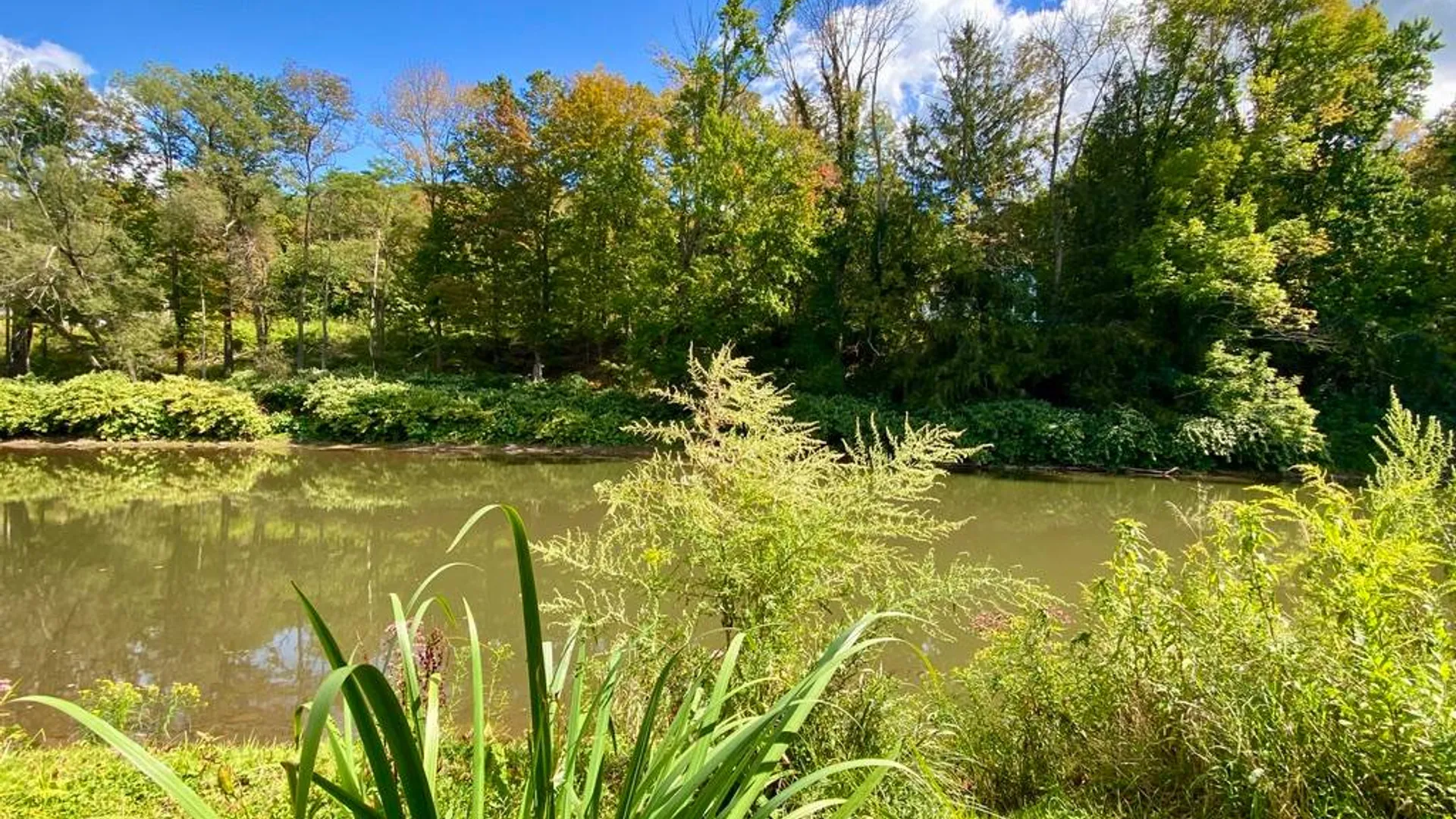 Property at 37 Elm St, Delhi, NY 13753 50
