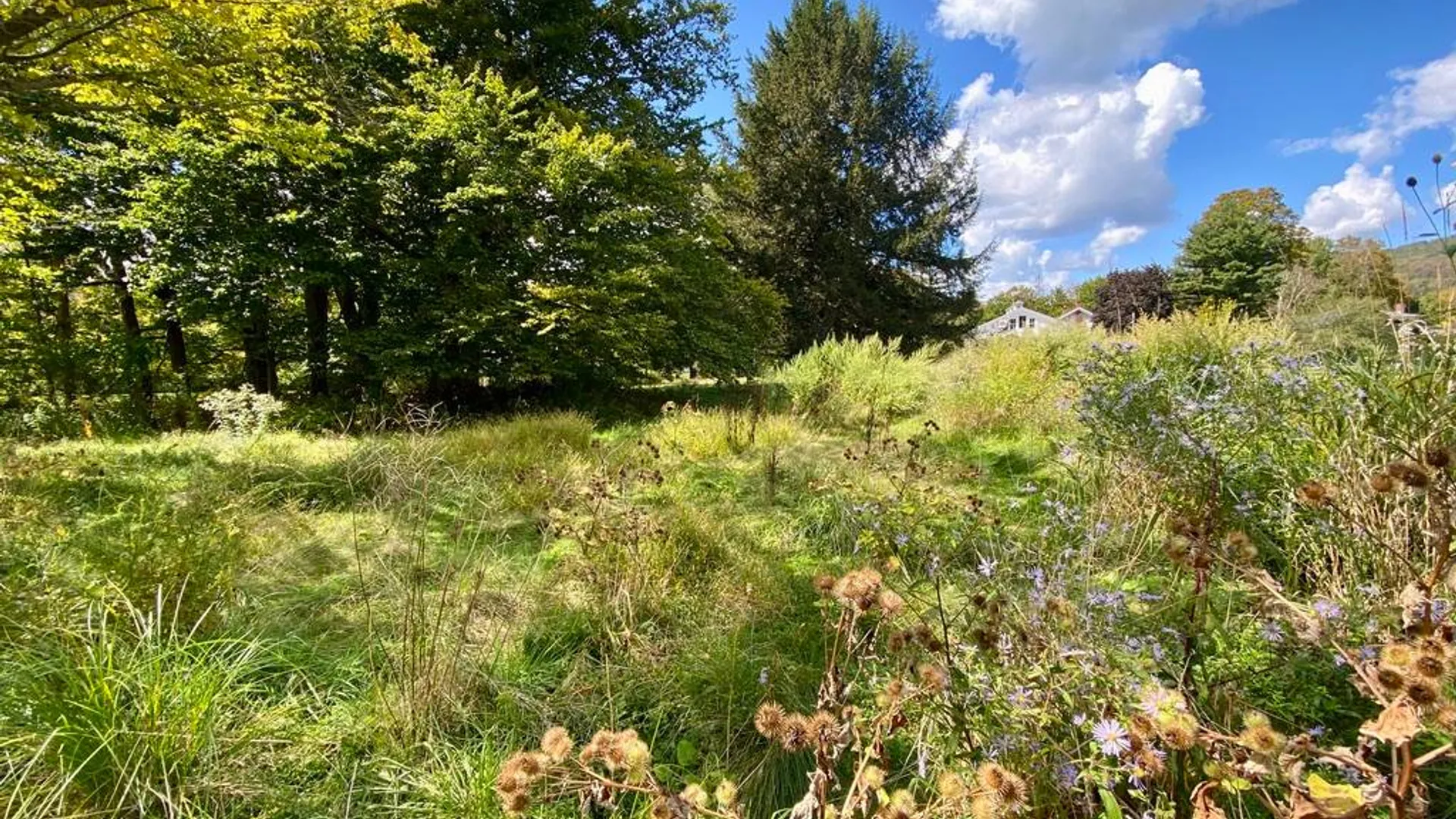 Property at 37 Elm St, Delhi, NY 13753 52