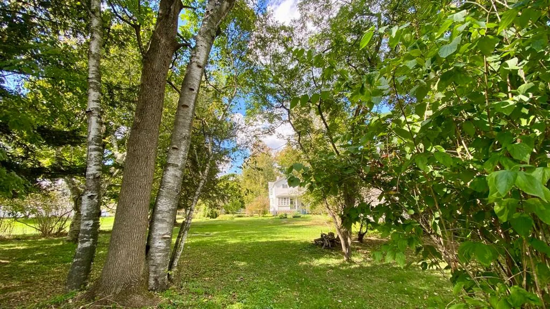 Property at 37 Elm St, Delhi, NY 13753 53