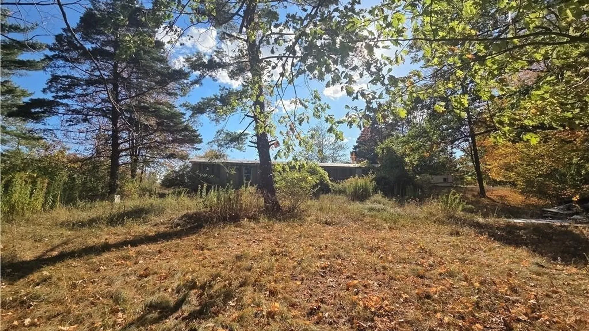 Property at 14503 Erway Trak Road, Carlton, NY 14411 3