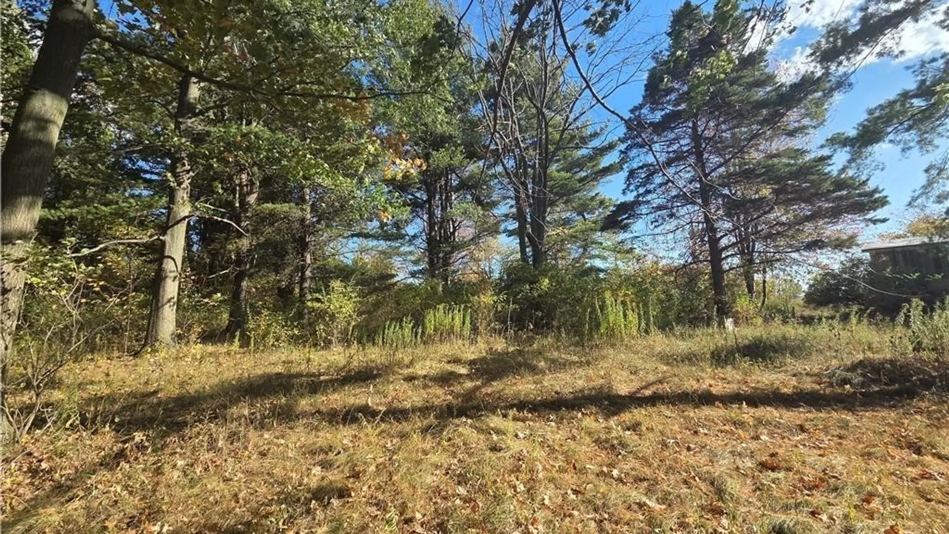 Property at 14503 Erway Trak Road, Carlton, NY 14411 4