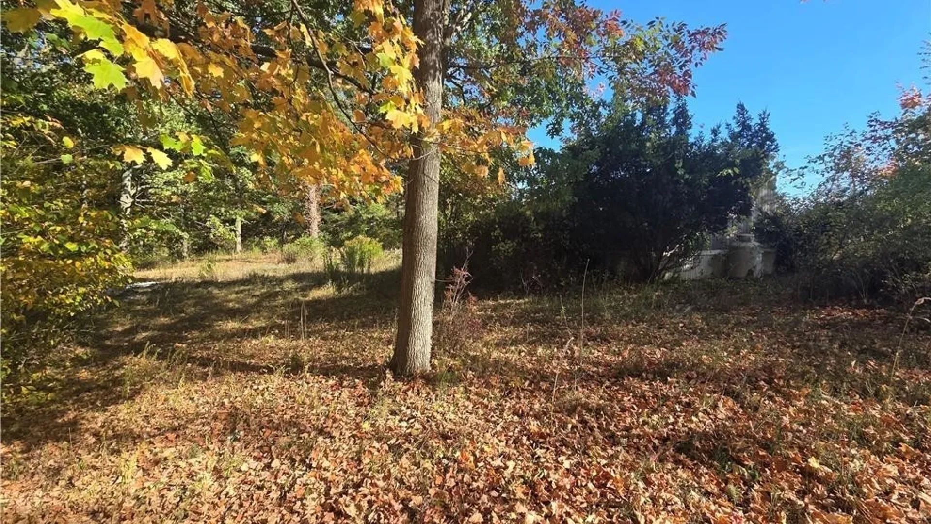 Property at 14503 Erway Trak Road, Carlton, NY 14411 5