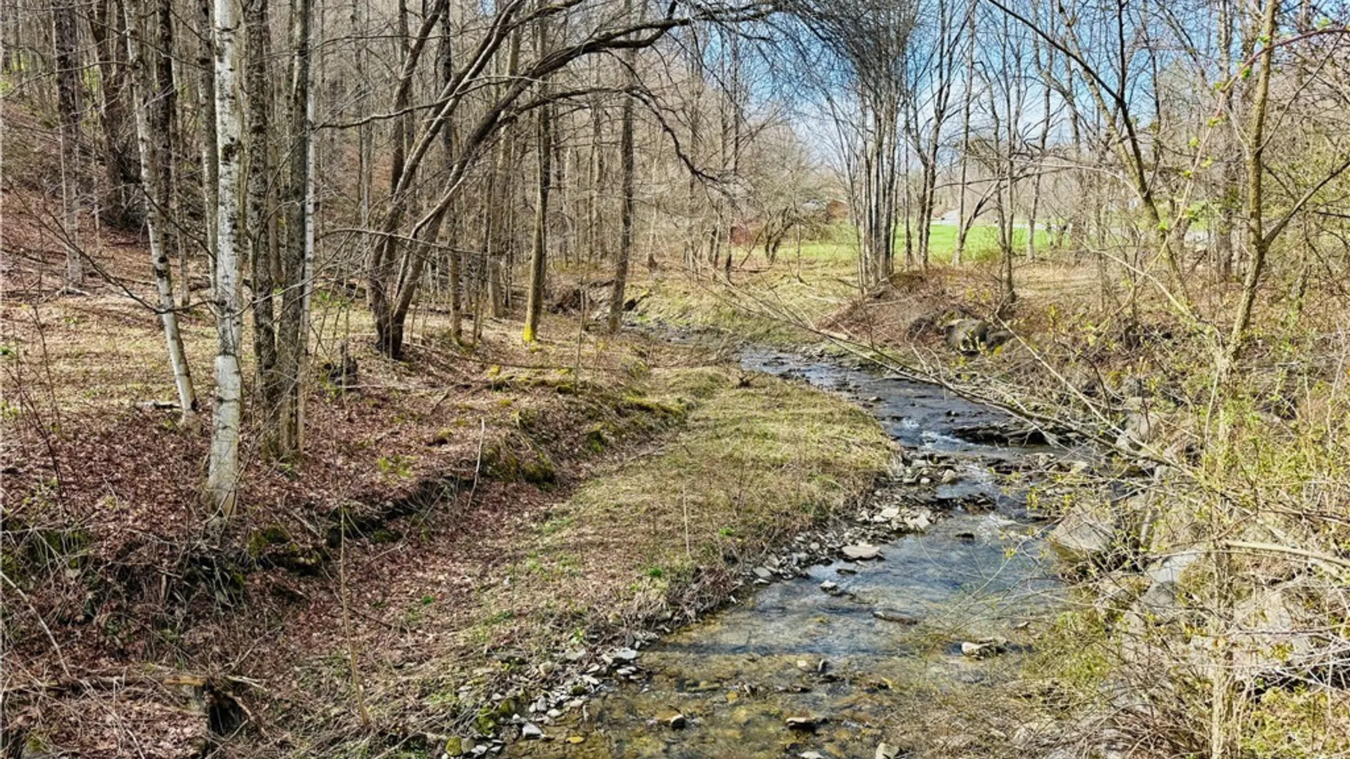 Property at 4543 Potter Road, Solon, NY 13101 36