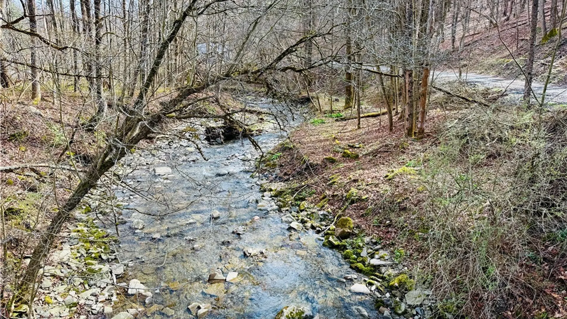 Property at 4543 Potter Road, Solon, NY 13101 37