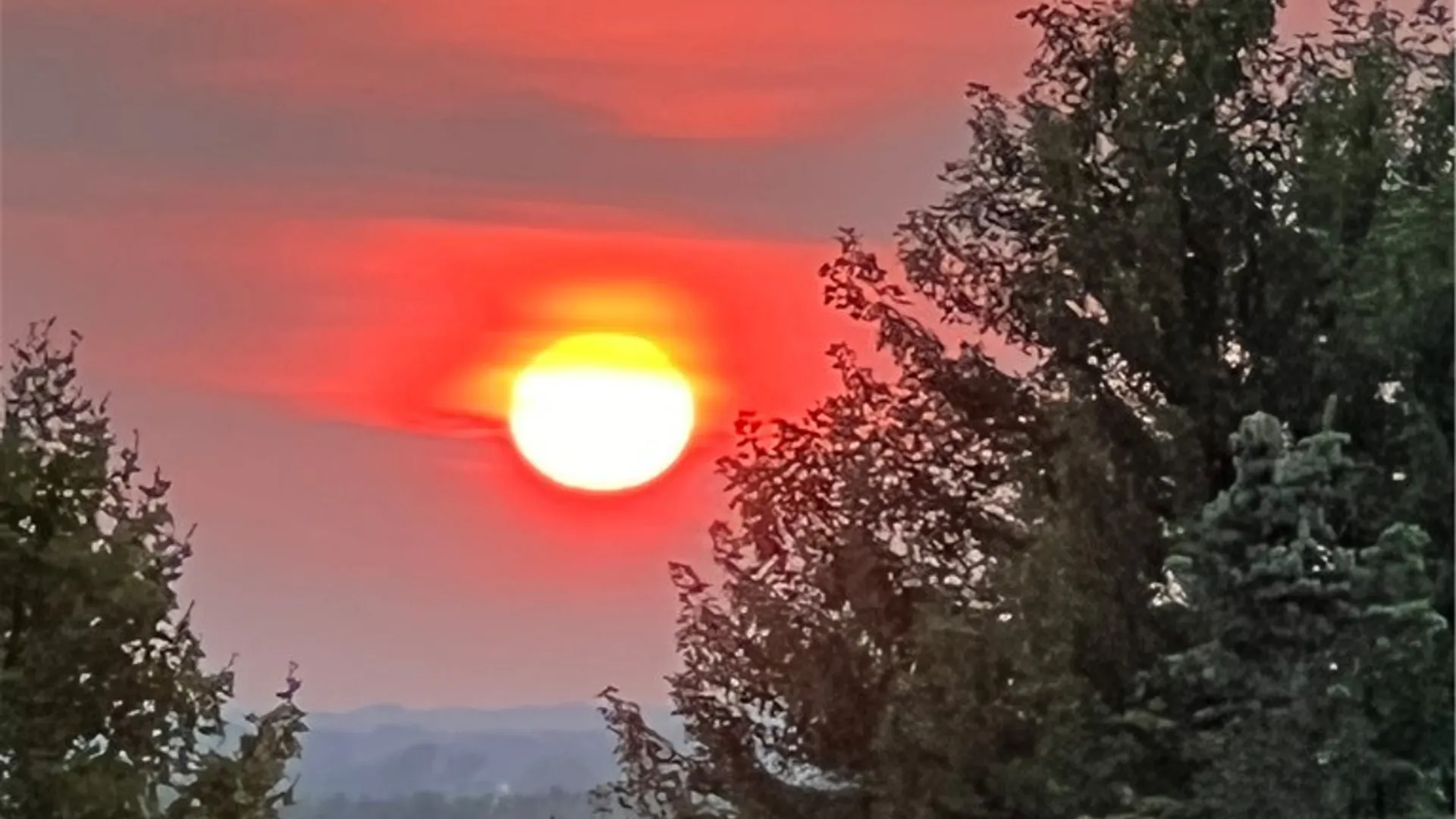 Property at 207 High Stone Cir, Henrietta, NY 14534 7