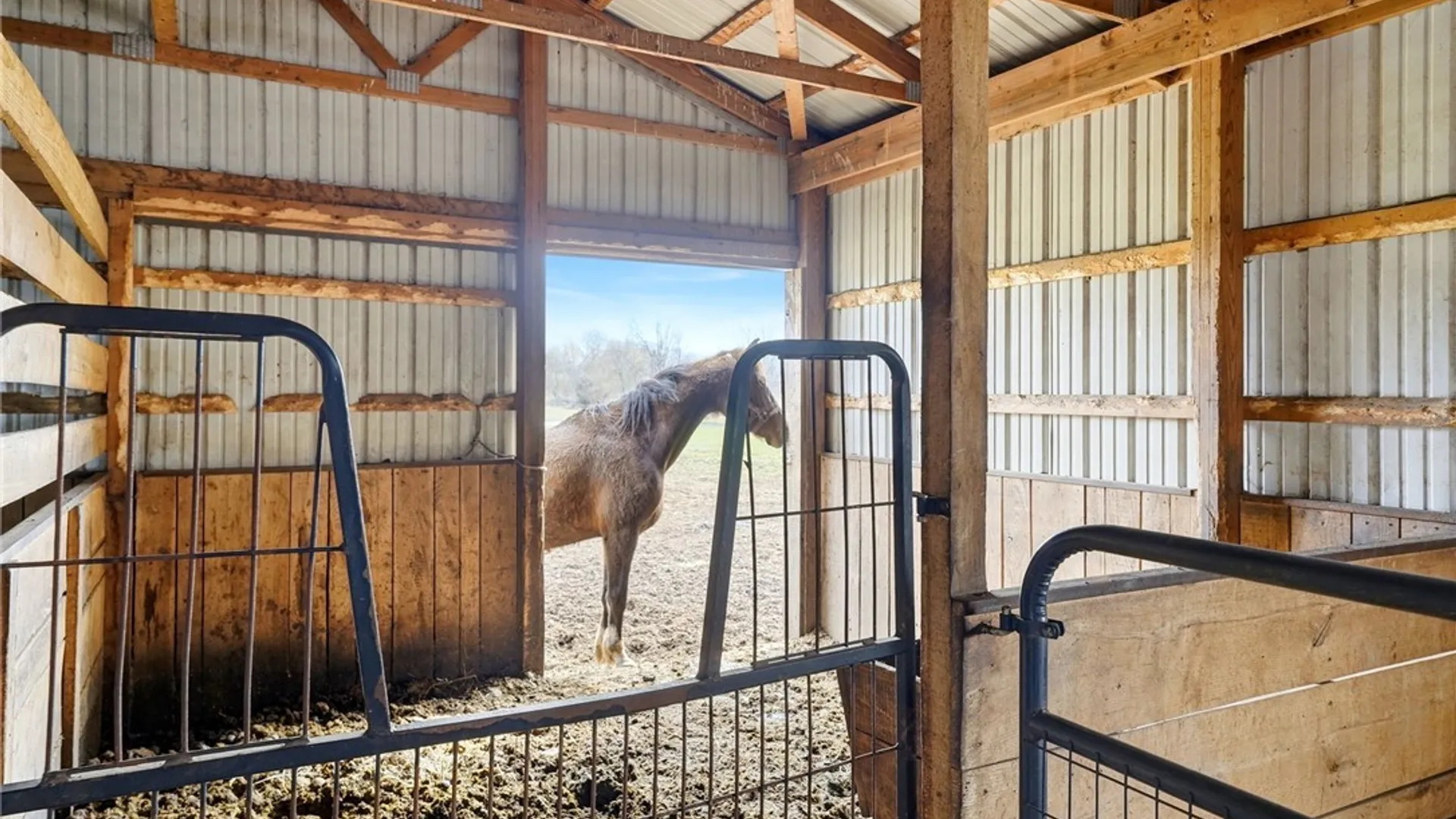 Property at 3129 Fruit Avenue, Ridgeway, NY 14103 37