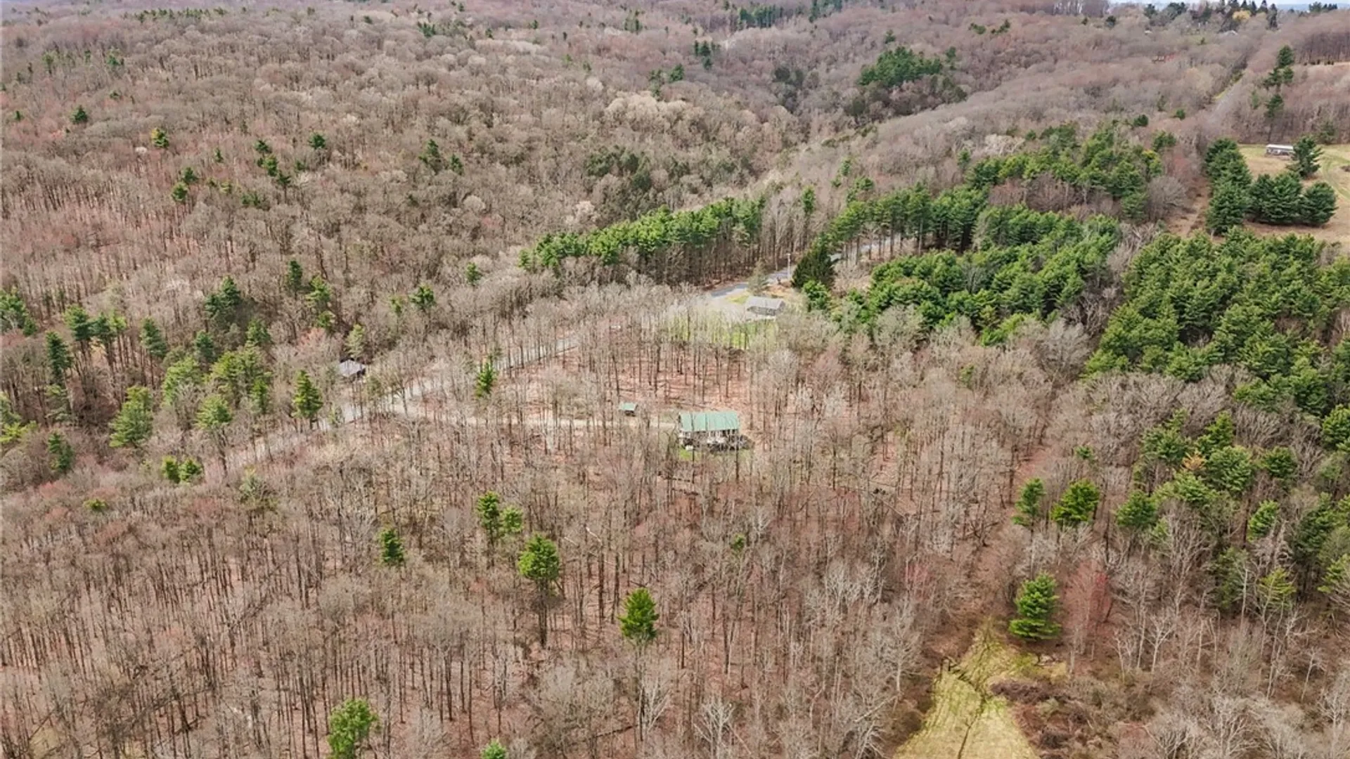 Property at 740 Miller Road, Danby, NY 14817 46