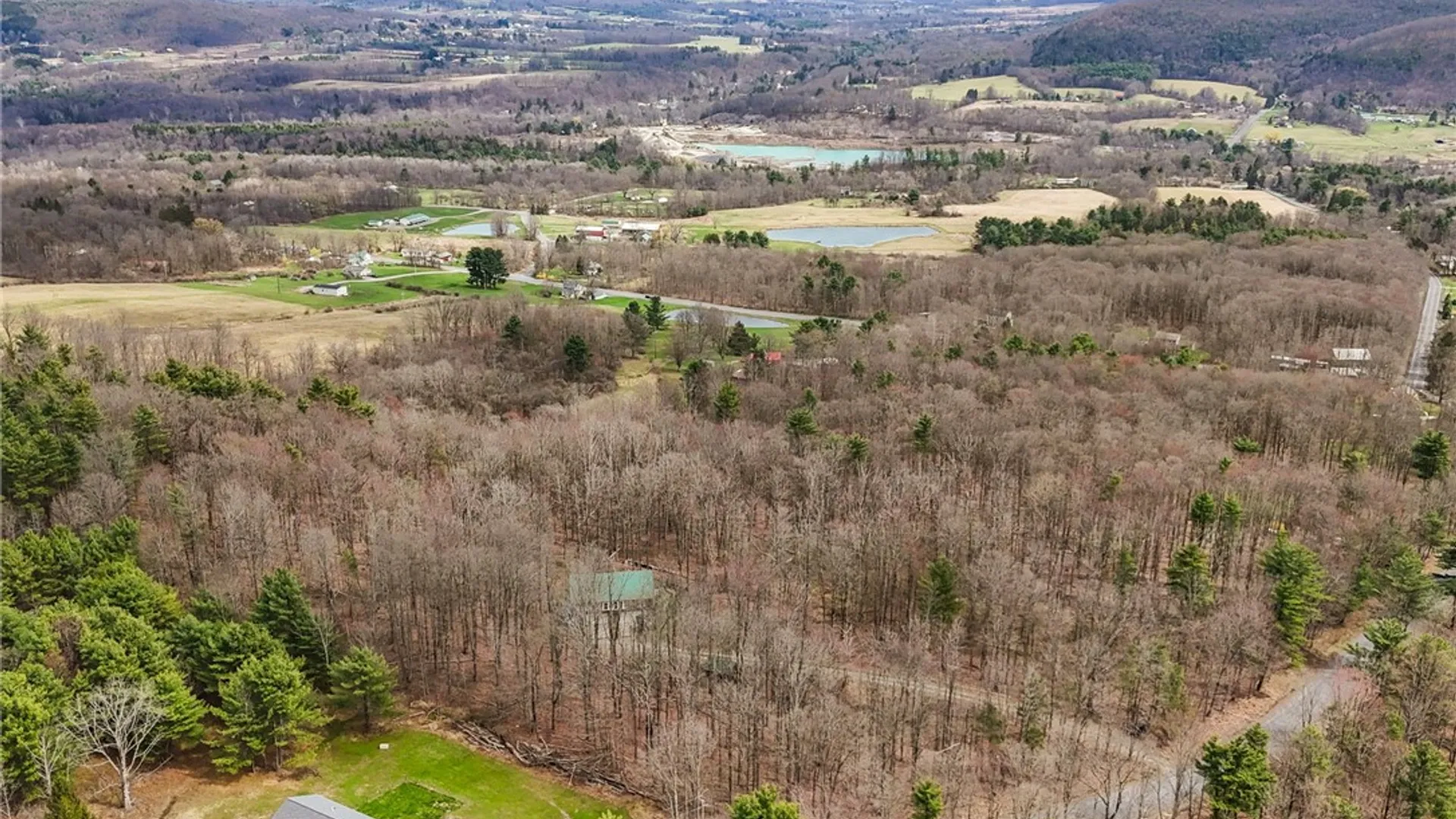 Property at 740 Miller Road, Danby, NY 14817 49