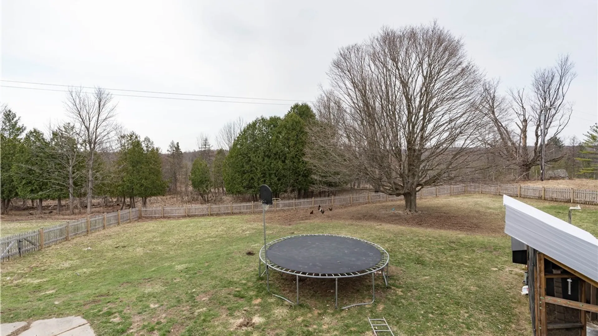 Property at 36344 State Route 126, Champion, NY 13619 48