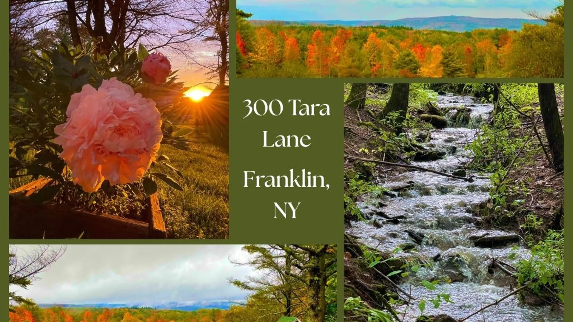Property at 300 Tara Lane, Franklin, NY 13775 48