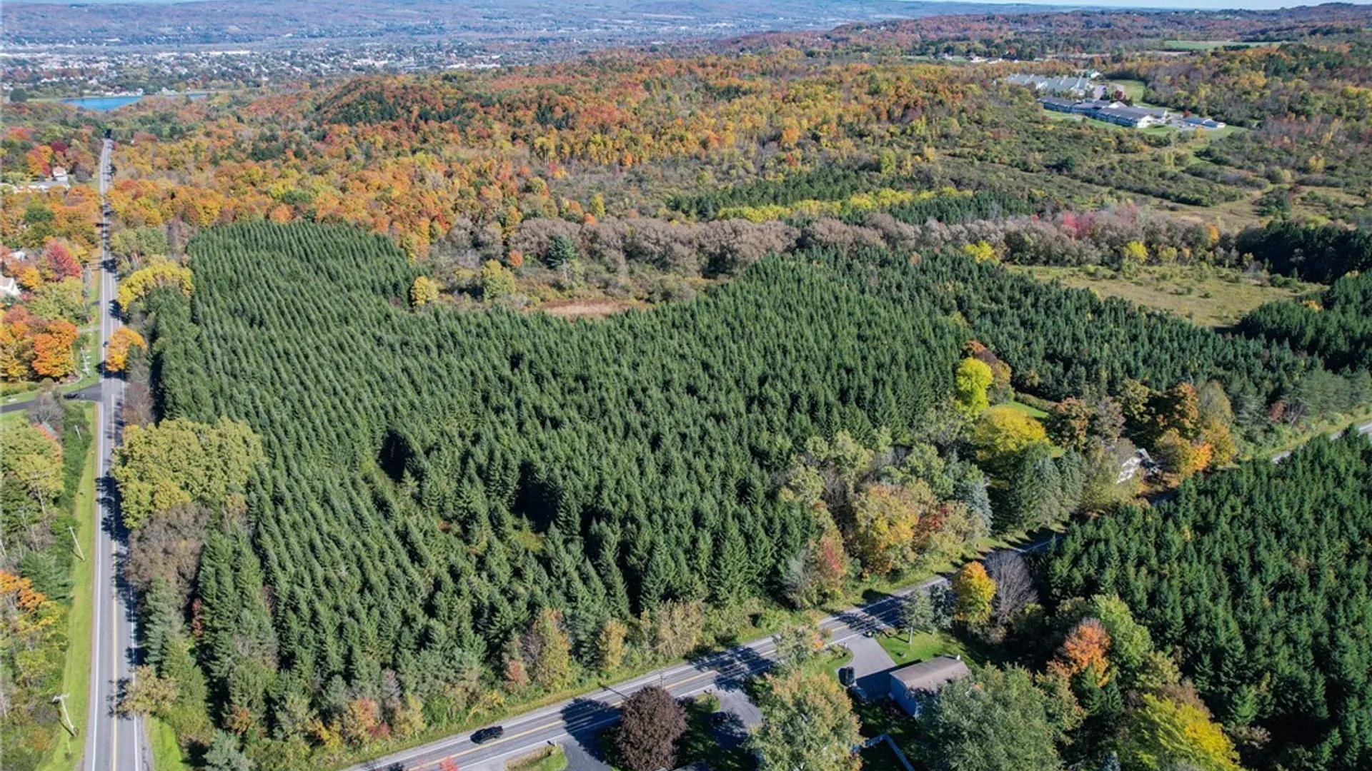 Property at 415 Higby Road, New Hartford, NY 13413 35