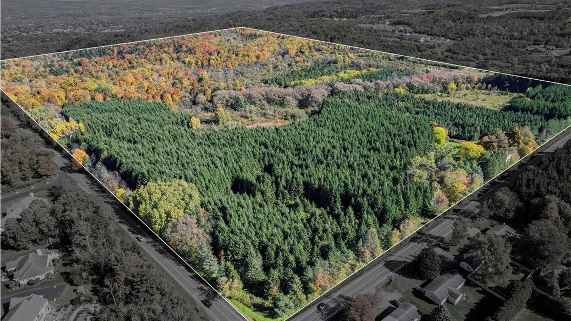 Property at 415 Higby Road, New Hartford, NY 13413 6