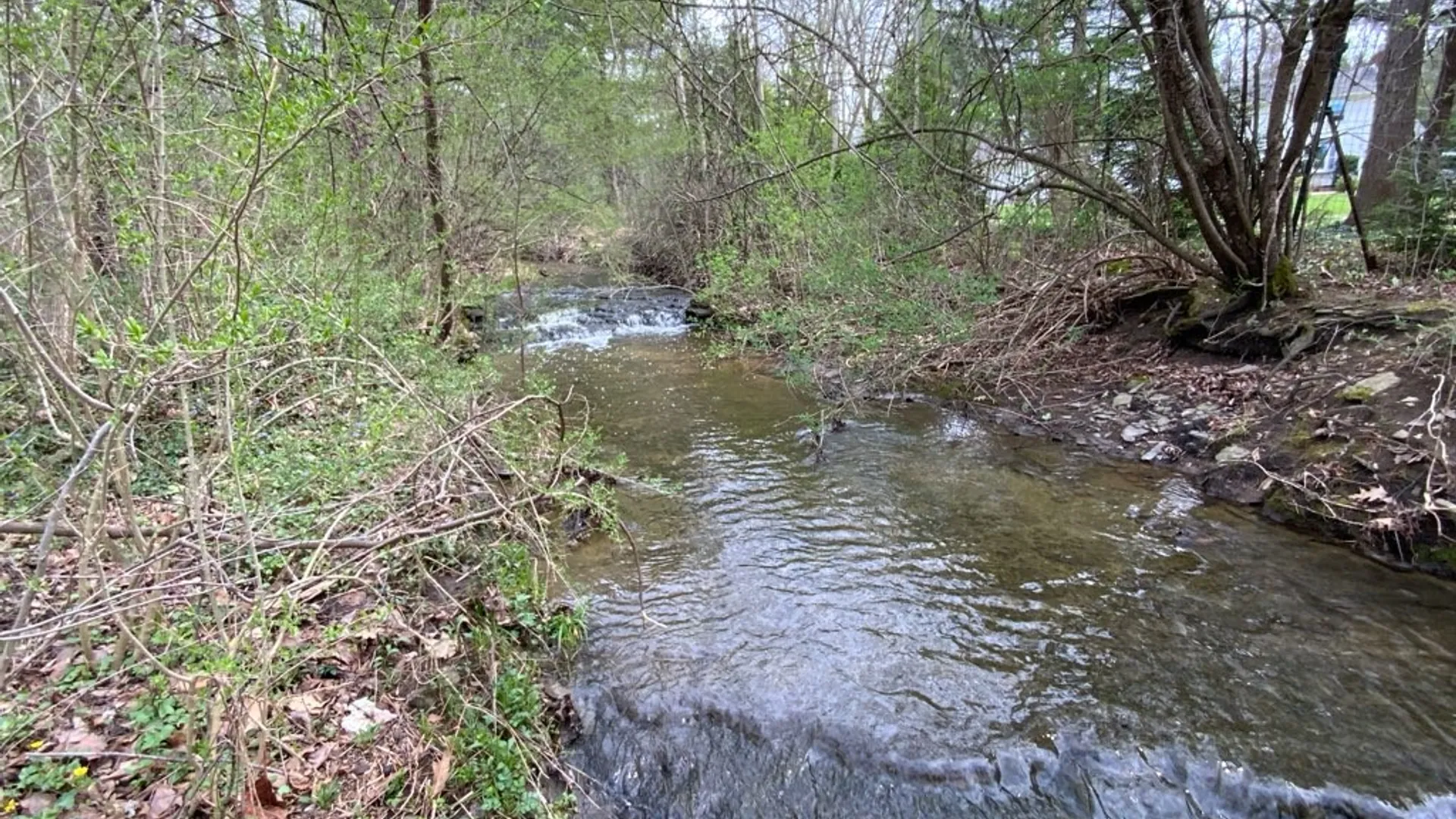 Property at 61 Highgate Cir, Lansing, NY 14850 32