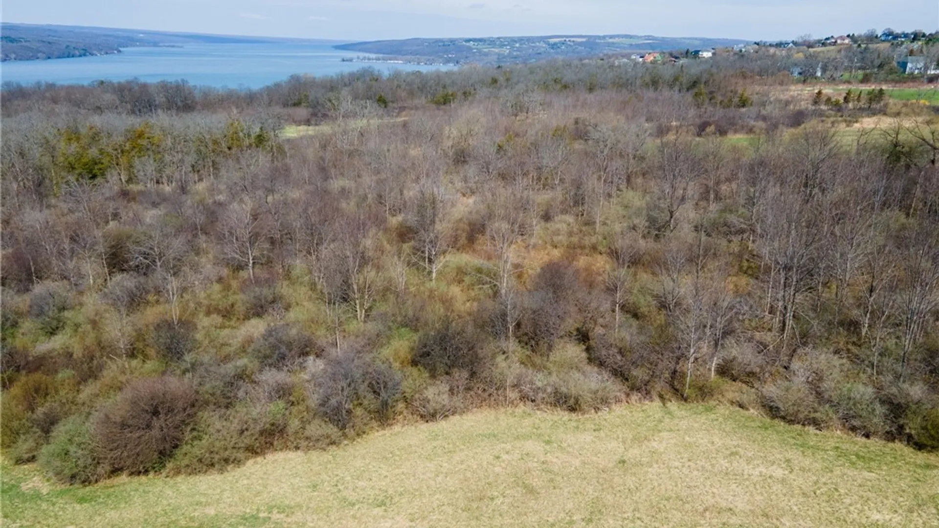 Property at 0 Blackchin Boulevard, Lansing, NY 14850 3