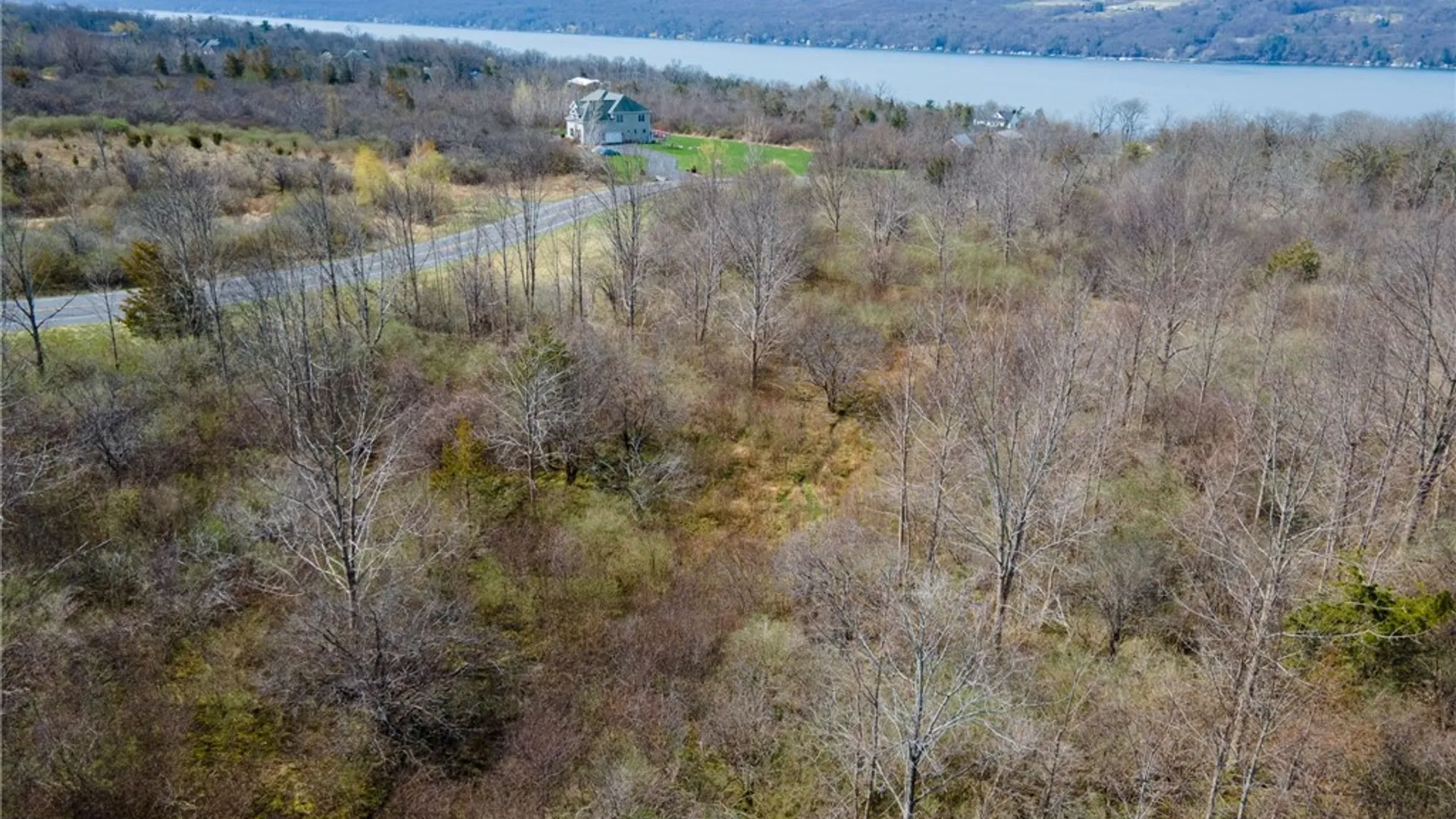 Property at 0 Blackchin Boulevard, Lansing, NY 14850 5