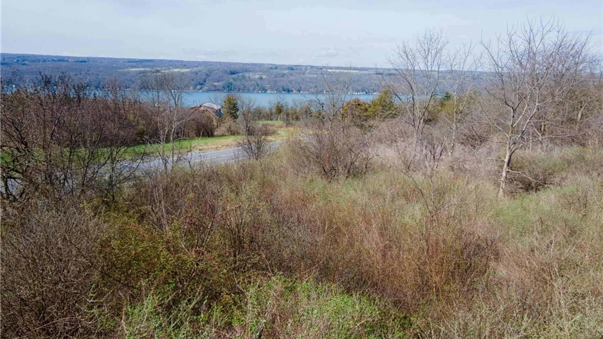 Property at 0 Blackchin Boulevard, Lansing, NY 14850 6
