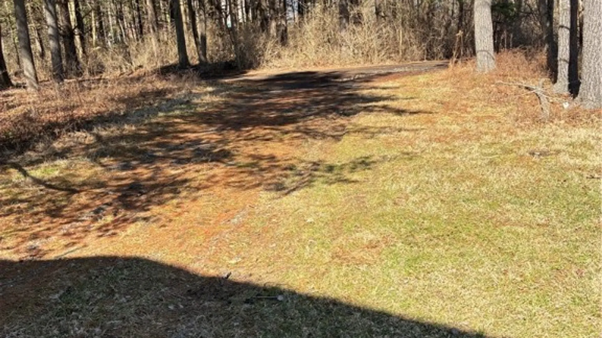 Property at 580 King Road, Danby, NY 14850 34