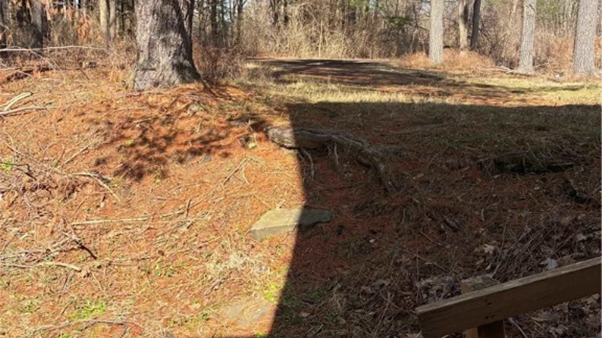 Property at 580 King Road, Danby, NY 14850 42