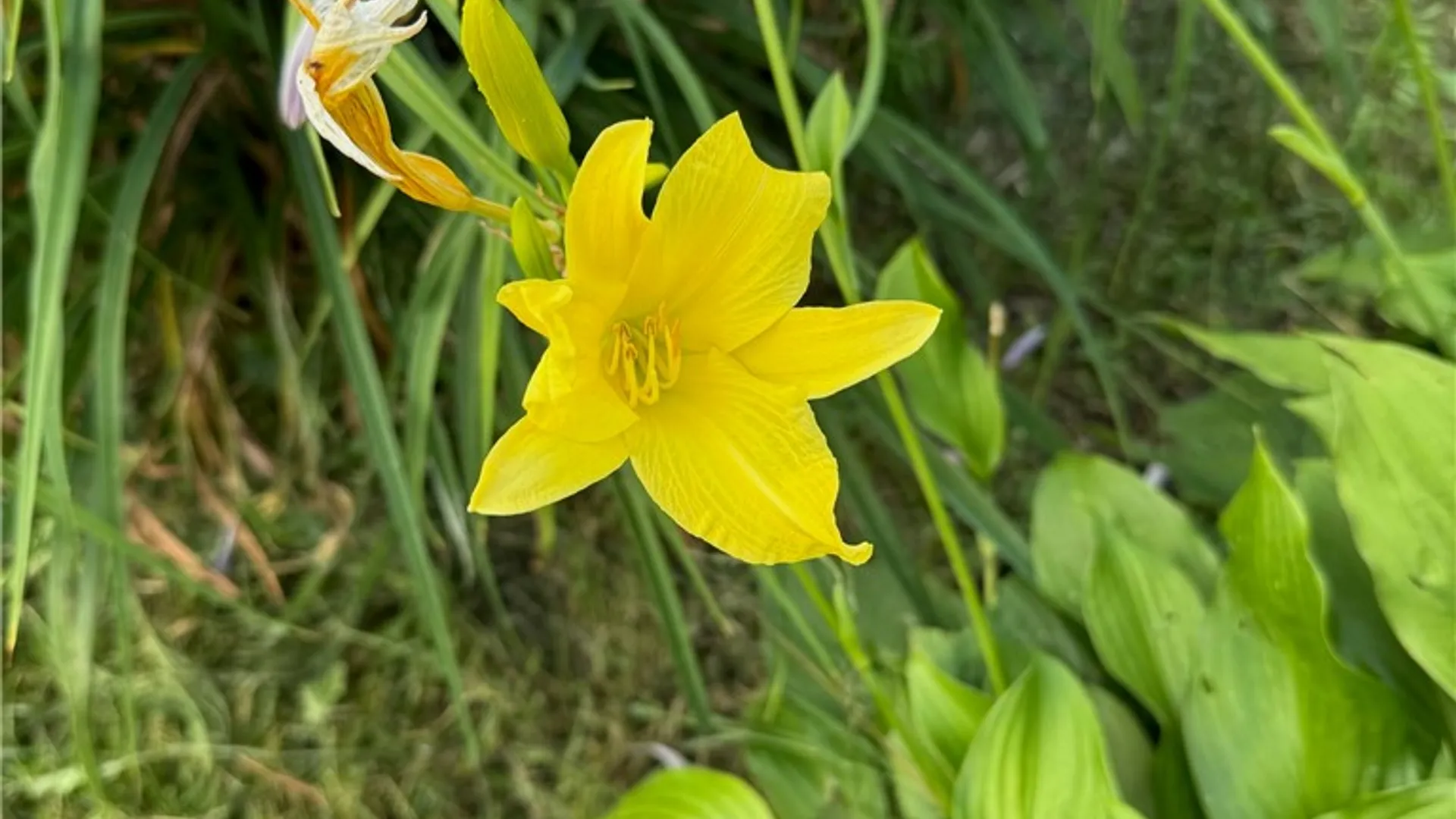 Property at 24 Masthead Way, Henrietta, NY 14622 34