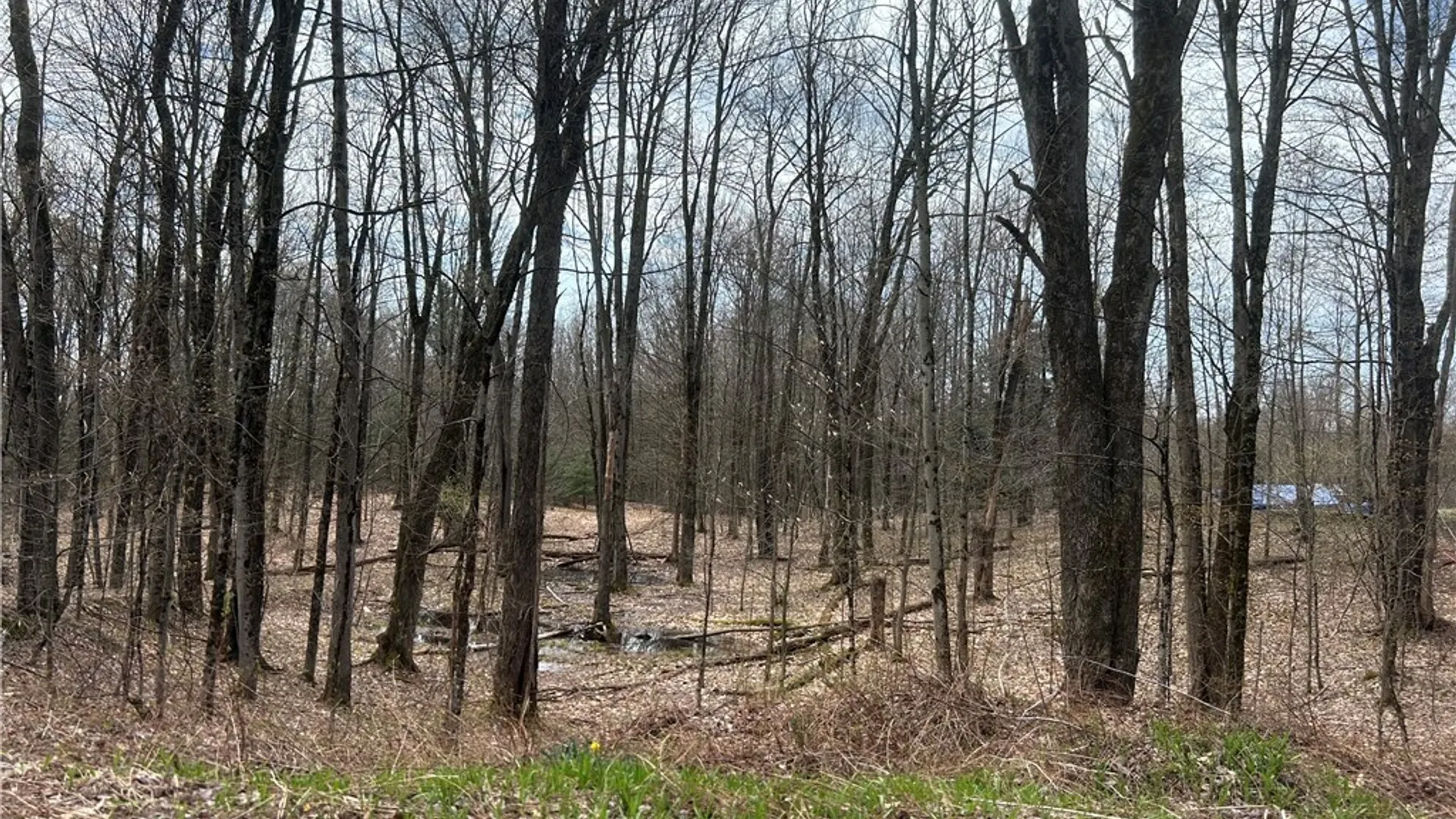 Property at N Hillsborough Road, Amboy, NY 13316 2