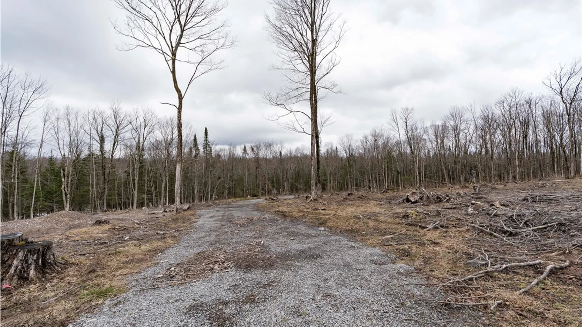 Property at 6030 Salmon River Road, Montague, NY 13367 9