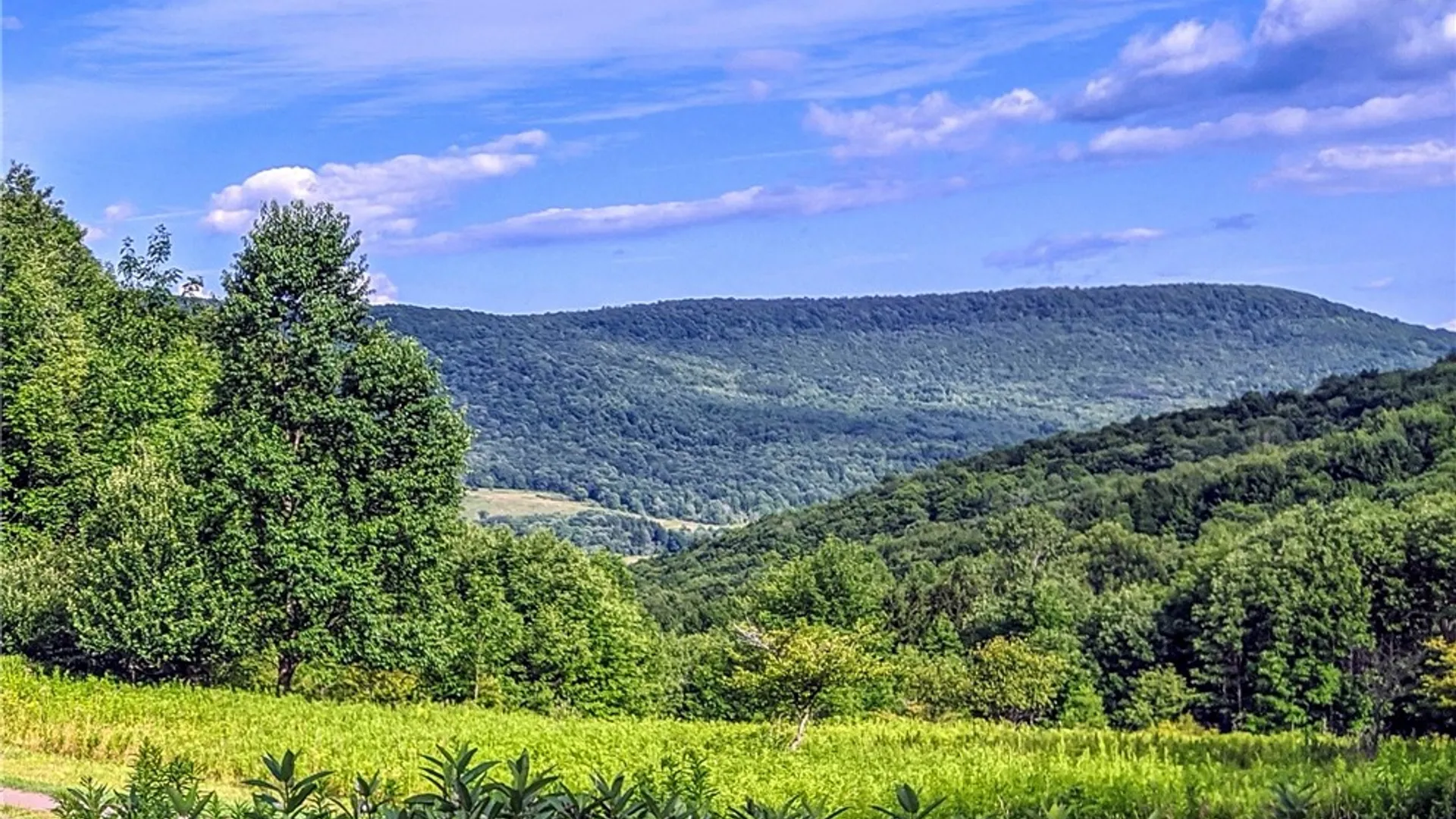 Property at 5180 County Highway 14, Franklin, NY 13846 2